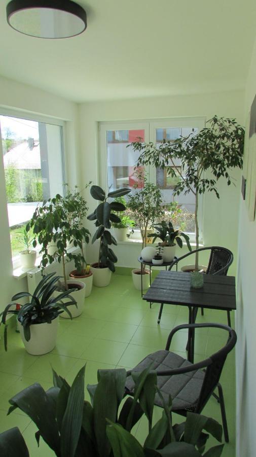 Apartmany Luha Luhačovice Extérieur photo